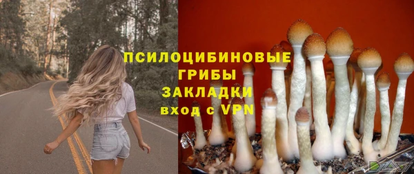 спайс Аркадак