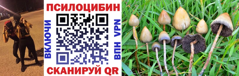 Псилоцибиновые грибы Psilocybine cubensis  Жигулёвск 